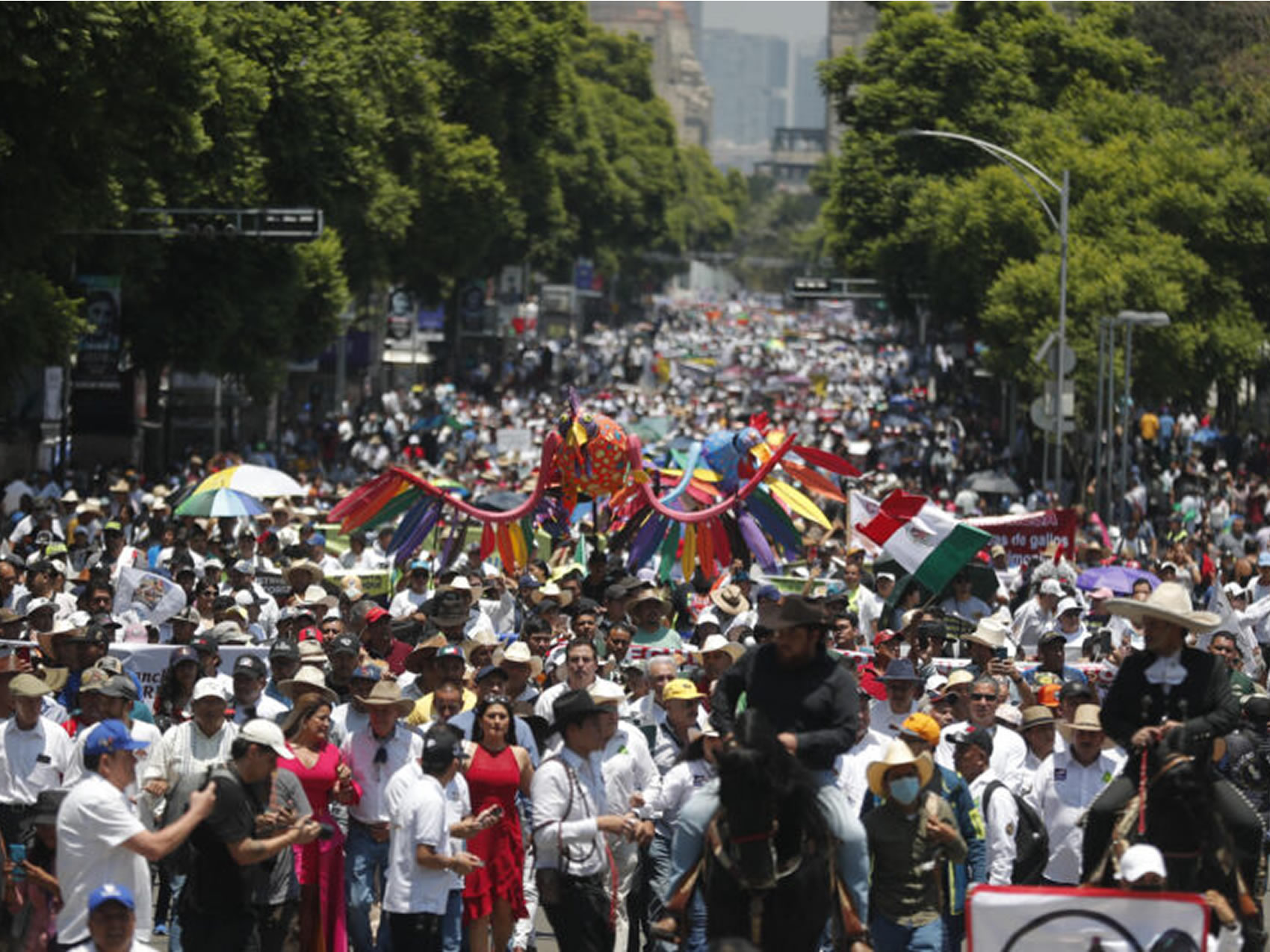 2025: AÑO DE BIFURCACIONES EN LA TAUROMAQUIA MEXICANA