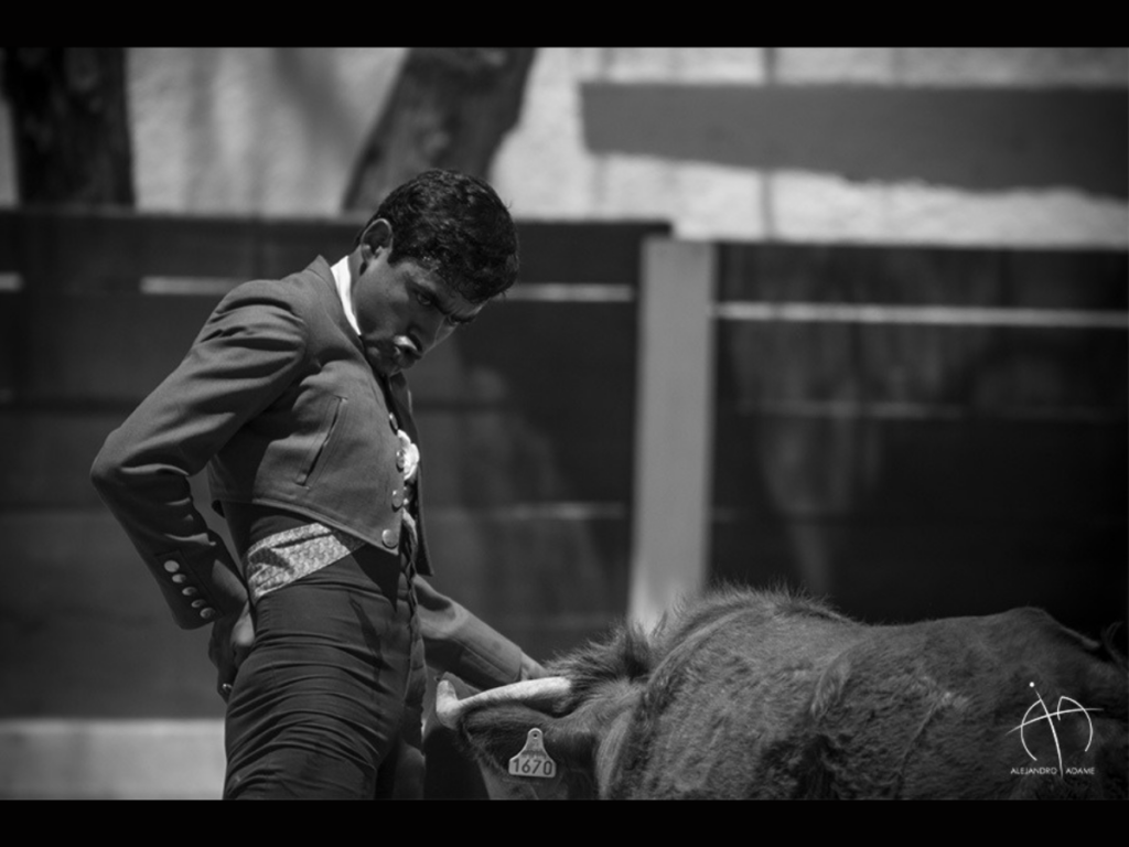 ALEJANDRO ADAME AFINA SU TOREO EN EL CAMPO RUMBO A SAN MARCOS