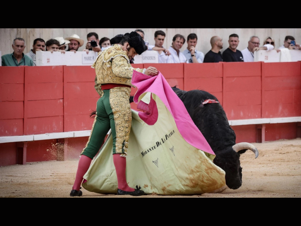 MORANTE, BAJA EN NÎMES
